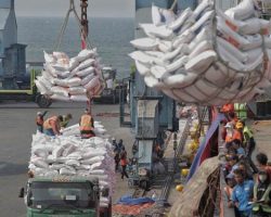500.000 Ton Beras Impor Masuk Indonesia