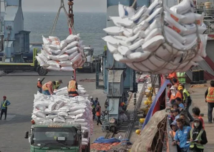 500.000 Ton Beras Impor Masuk Indonesia