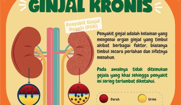 739.208 Warga +62 Alami Gagal Ginjal Kronik, Kenali Penyebabnya