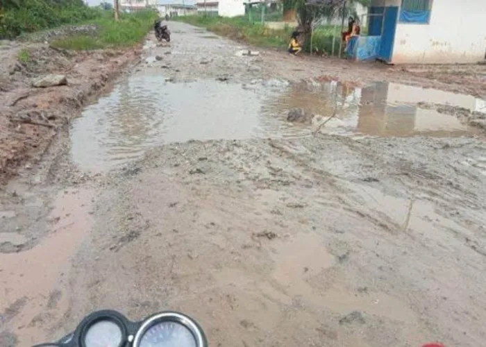 Jalan Sinaboi-Bagan Siapiapi Rusak, Dishub: Truk Sawit Penyebabnya!