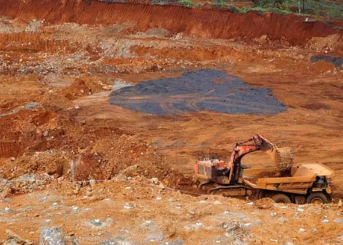 CRI Ungkap Tambang Nikel China di Indonesia Rusak Hutan 6.000 Lapangan Bola