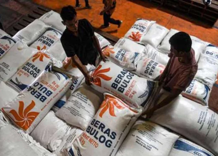 Bulog Kencangkan Distribusi Beras SPHP Atasi Kenaikan Harga Beras