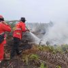 126 Hotspot Hari Ini Terdeteksi di Riau, Pelalawan Tertinggi, Warga Diminta Waspada