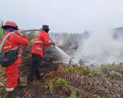 Lahan Gambut di Siak Riau Terbakar, Sumber Air Minim