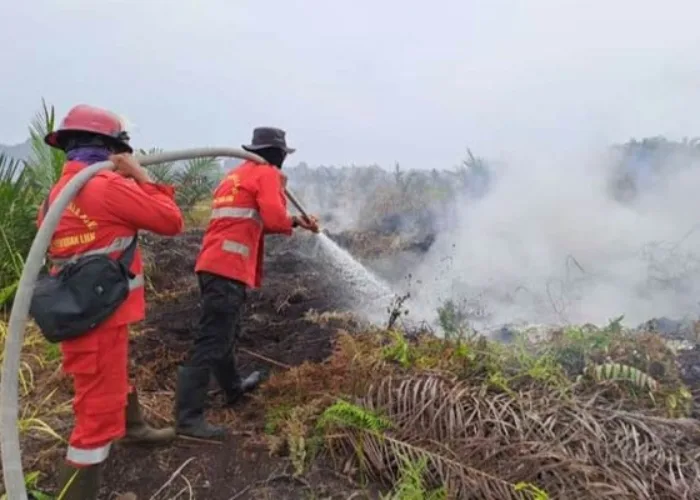 126 Hotspot Hari Ini Terdeteksi di Riau, Pelalawan Tertinggi, Warga Diminta Waspada