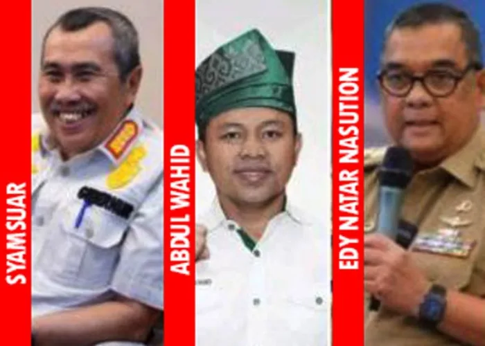 Menelisik Kekayaan Tiga Kandidat Bakal Calon Gubernur Riau