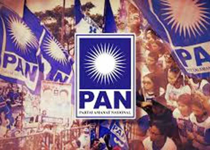 PAN Tebar Rekomendasi, Siapa Bakal Diusung di Pilgubri?