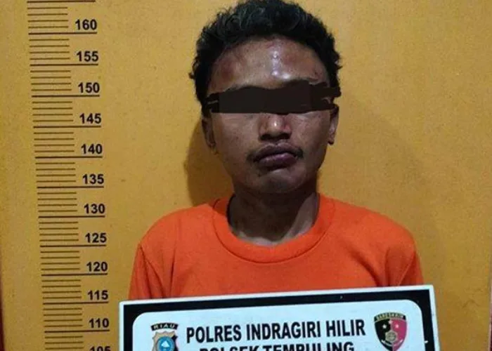 Begal di Inhil Tusuk Balita Sampai Meninggal