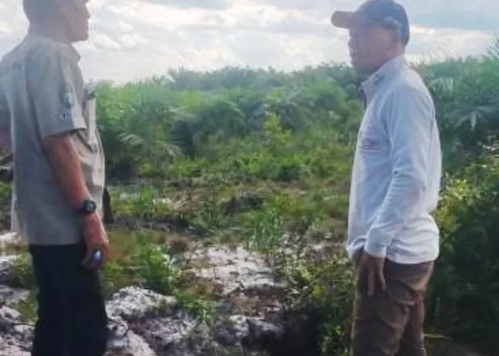 Pakar Lingkungan Soroti Kasus Penyerobotan dan Alih Fungsi Lahan PT SKR di Kalbar