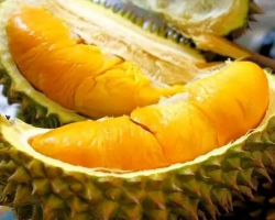 Setelah Santap Durian Ada Baiknya Konsumsi 5 Makanan Berikut