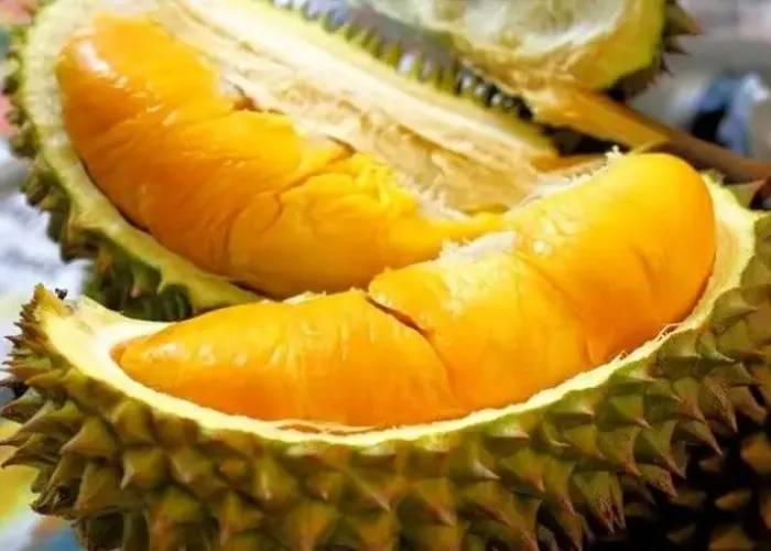 Setelah Santap Durian Ada Baiknya Konsumsi 5 Makanan Berikut