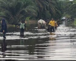 Warga Nekat Terobos Banjir di Jalan Lintas Kampar Pekanbaru