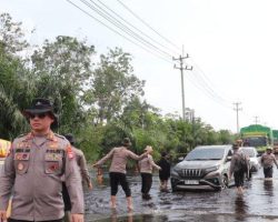 Terjebak Antrian Panjang di Jalintim Pelalawan, Banyak Kendaraan Mogok Akibat Banjir