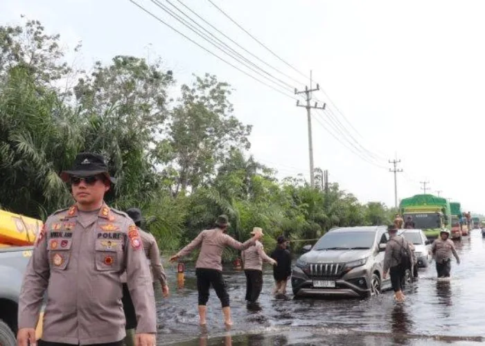 Terjebak Antrian Panjang di Jalintim Pelalawan, Banyak Kendaraan Mogok Akibat Banjir