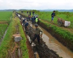 Pemerintah Anggarkan Rp 12 Triliun Bangun Irigasi Pertanian
