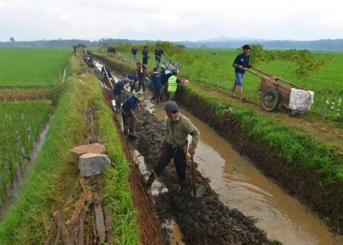 Pemerintah Anggarkan Rp 12 Triliun Bangun Irigasi Pertanian
