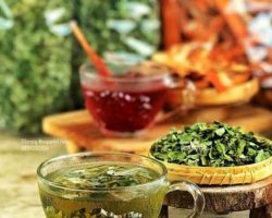 Kenali 10 Manfaat Teh Kelor, Daun ‘Ajaib’ Kaya Khasiat