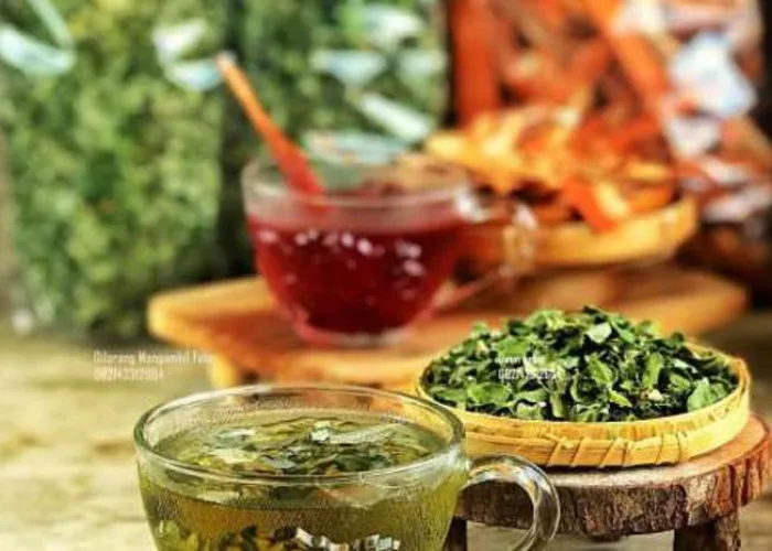 Kenali 10 Manfaat Teh Kelor, Daun ‘Ajaib’ Kaya Khasiat