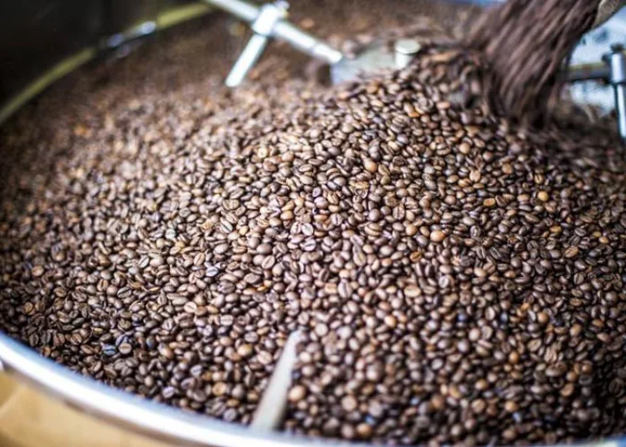Penting Mengenal Kopi Terbaik Bagi Penderita Diabetes