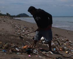 Hasil Tangkapan Ikan di Padang Turun Drastis Akibat Pencemaran Laut
