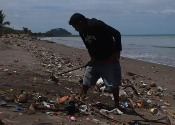 Hasil Tangkapan Ikan di Padang Turun Drastis Akibat Pencemaran Laut