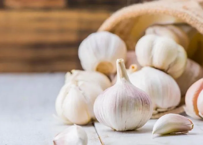 Rutin Makan Bawang Putih, Bisakah Mencegah Penyakit Jantung?