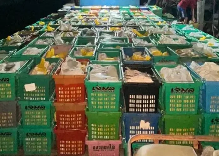 15 Ton Buah Impor Ilegal Diamankan di Perairan Inhil Riau