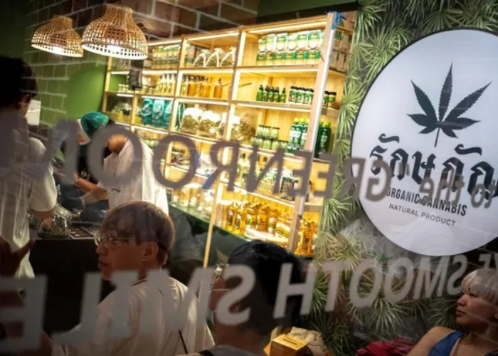 Wisata Ganja Bikin Turis Berbondong-bondong ke Thailand