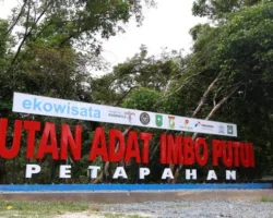 Revisi UU Kehutanan Harus Buka Ruang Akui Hak-hak Masyarakat Adat