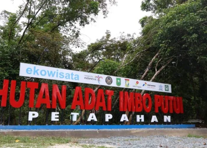 Revisi UU Kehutanan Harus Buka Ruang Akui Hak-hak Masyarakat Adat
