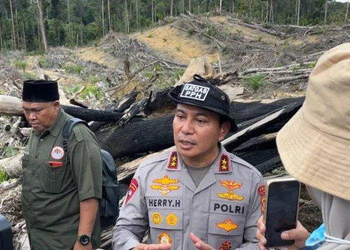 Pembabatan Hutan Lindung Kampar Untuk Kebun Sawit Bikin Geram Kapolda