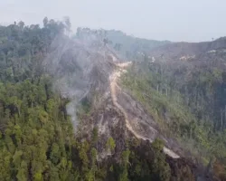 Aktivis Lingkungan Tinjau Lokasi Karhutla di Bendungan Kaiti – Sipogas Rohul