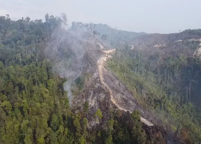 Aktivis Lingkungan Tinjau Lokasi Karhutla di Bendungan Kaiti – Sipogas Rohul
