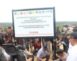 Satgas PKH Sita Perkebunan Sawit di Lahan TNTN Pelalawan