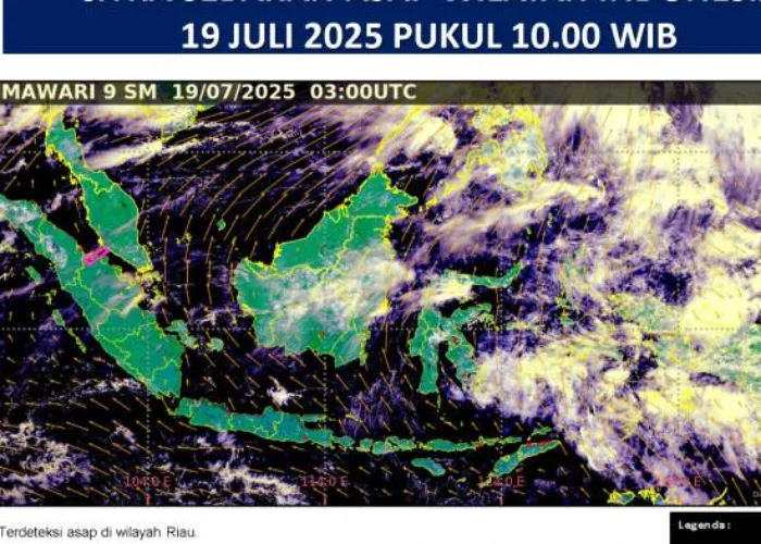 Asap Mulai Menyeberang ke Malaysia, BMKG Catat 259 Hotspot di Riau