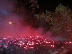 Kawasan Hutan Suaka Margasatwa di Perbatasan Riau-Sumbar Terbakar