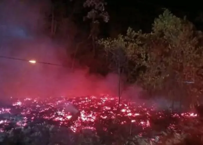Kawasan Hutan Suaka Margasatwa di Perbatasan Riau-Sumbar Terbakar