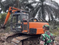 Alat Berat Tumbangkan Batang-batang Sawit di Kawasan TNTN