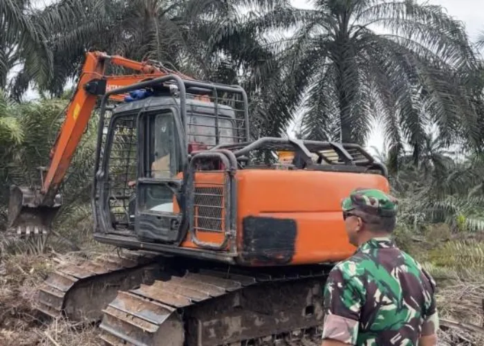 Alat Berat Tumbangkan Batang-batang Sawit di Kawasan TNTN