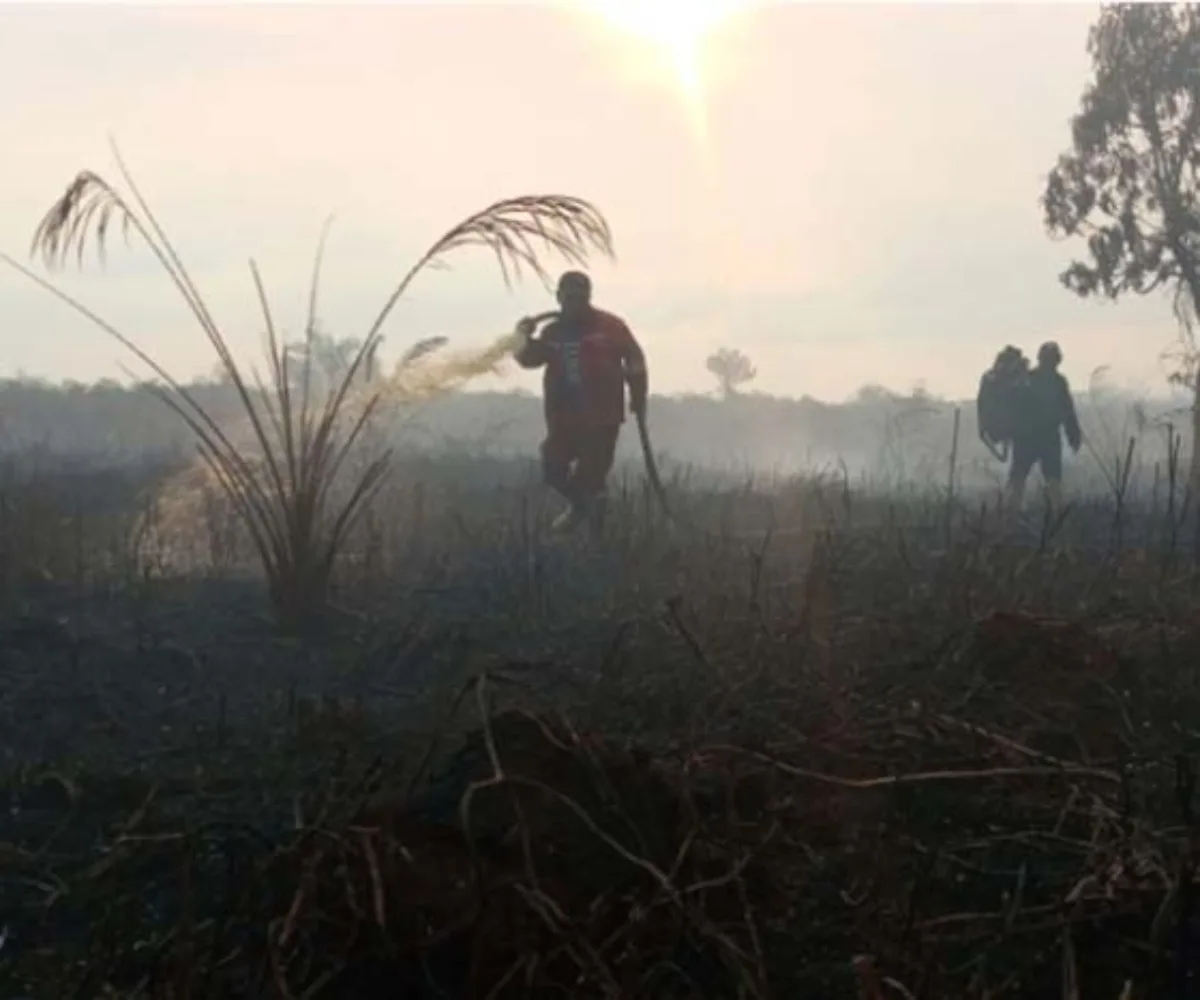 Kualitas Udara Kampar Menurun, NO2 Naik di Tengah Karhutla