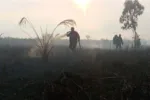 Kualitas Udara Kampar Menurun, NO2 Naik di Tengah Karhutla