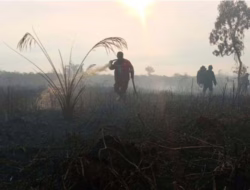 Karhutla di Kampar Meluas, Petugas Terbatas Air Habis