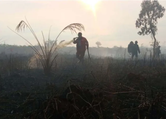 417,94 Hektare Lahan di Riau Hangus Terbakar