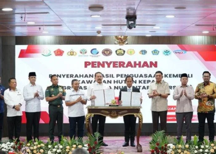 Negara Kuasai Kembali Lahan di Kawasan Tesso Nilo