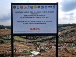 Banyak Perusahaan Sawit Pakai Nama Masyarakat Kuasai Lahan Konservasi di Riau