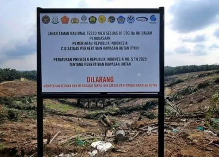 Pemprov Riau Bentuk Pokja Pembatalan Sertifikat Lahan di Tesso Nilo