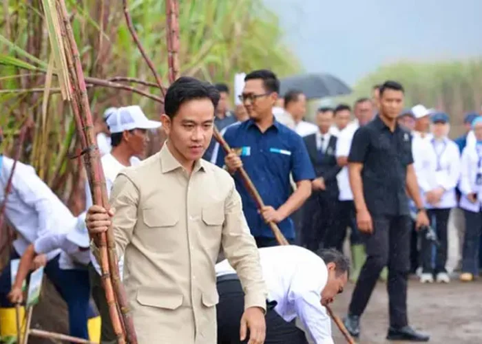 Wapres Gibran: Sejak 2014 Kasus Karhutla Turun 85 Persen