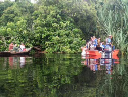 Riau Miliki 3 Taman Nasional, Habitat Gajah dan Harimau