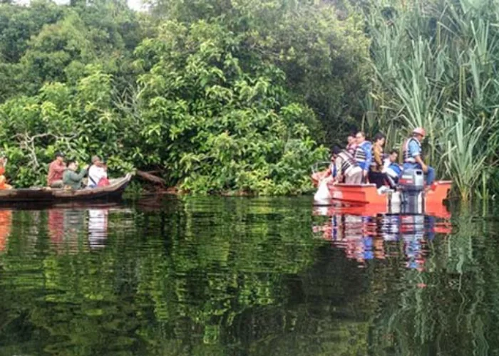 Riau Miliki 3 Taman Nasional, Habitat Gajah dan Harimau