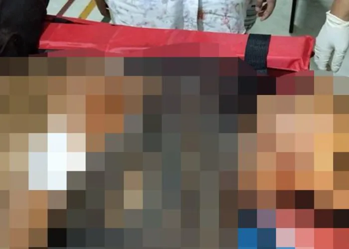 Harimau Serang Pekerja di Distrik PT Arara Abadi Pelalawan